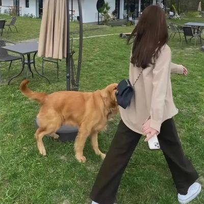 印第安传奇